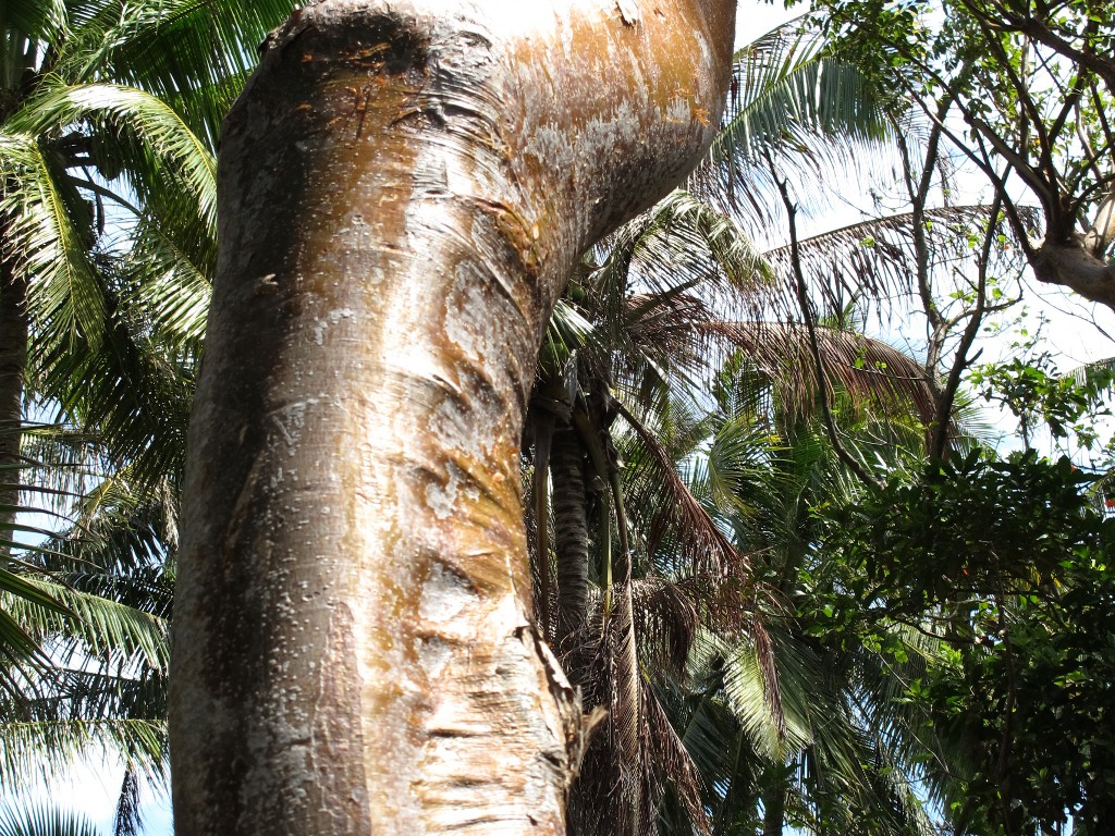 IMG_0267 (1) IMG_0267 (1)